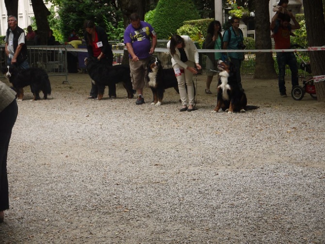 expo du puy en velay